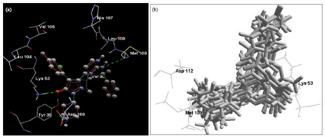 Image for - Molecular Docking Studies of Substituted Pyrazolone Derivatives as Cytokine Synthesis Inhibitors