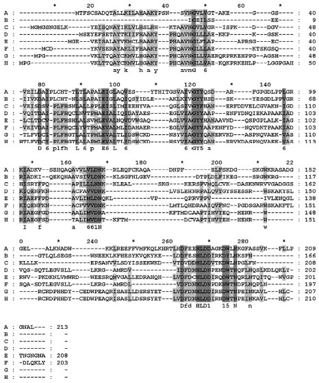 Image for - The TLA1 Protein Family Members Contain a Variant of the Plain MOV34/MPN Domain