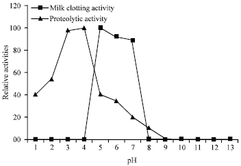 Image for - Partial Characterization of Proteolytic and Milk Clotting Enzymes in Sodom Apple Calotropis procera (Ait.) R.Br. (Asclepiadaceae) Plant