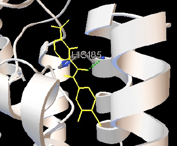 Image for - Molecular Docking Studies of Benzamide Derivatives for PfDHODH Inhibitor as Potent Antimalarial Agent