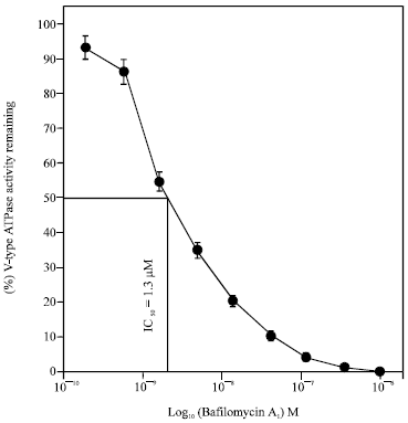 Image for - Comparative Effect of Inhibitors on the ATPases from the Excretory System of the Usherhopper, Poekilocerus bufonius and Desert Locust, Schistocerca gregaria