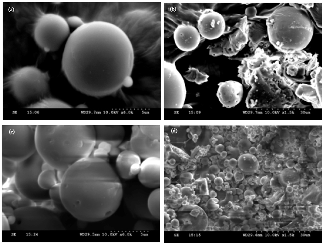 Image for - Development and Evaluation of Biodegradable Chitosan Microspheres Loaded with Ranitidine and Cross Linked with Glutaraldehyde