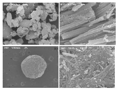 Image for - Preparation and Characterization of Spherical Agglomerates of Piroxicam by Neutralization Method