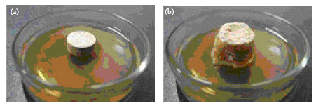 Image for - Preparation and Evaluation of Floating Matrix Tablet of Ranitidine