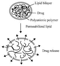 Image for - pH Sensitive Drug Delivery Systems: A Review