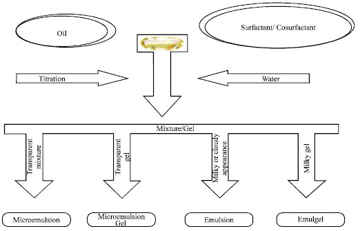 Image for - A Review on Novel Therapeutic Strategies for the Enhancement of Solubility for Hydrophobic Drugs through Lipid and Surfactant Based Self Micro Emulsifying Drug Delivery System: A Novel Approach
