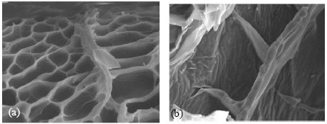 Image for - Development of a New Carvedilol Tablet with Rapid Onset of Action
