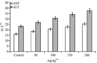Image for - Effects of Anti-erectile Dysfunction Drug on some Key Tissues in Healthy Male Rats