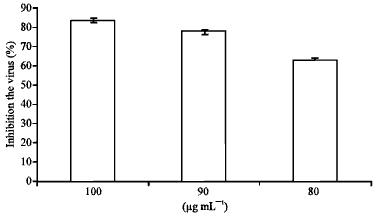 Image for - In vitro Virucidal Activity of Hexane Fraction of Marrubium vulgare  Against Type 1 Herpes simplex Virus