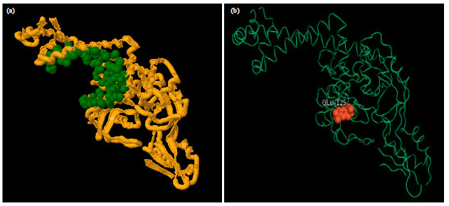 Image for - Interaction of 2, 5-di-tert-butyl-1, 4-Benzoquinone with Selected Antibacterial  Drug Target Enzymes by In silico Molecular Docking Studies
