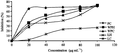 Image for - Evaluation of Antibacterial and Antioxidant Activities of Different Methanol  Extract of Rumex vesicarius L.