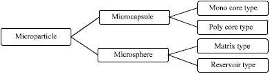 Image for - Review on Microsphere