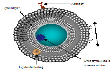 Image for - Nanotechnologies for Boswellic Acids