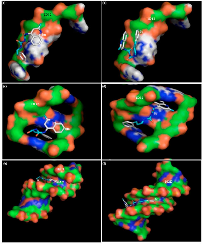 Image for - In silico and in vivo Study the Mode of Action and Effect of Some Biurets as DNA Binding Agent