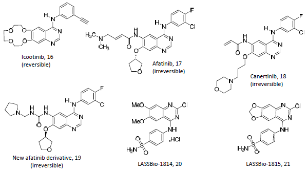 Image for - Undeniable Pharmacological Potentials of Quinazoline Motifs in Therapeutic Medicine