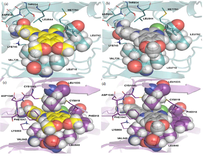 Image for - Undeniable Pharmacological Potentials of Quinazoline Motifs in Therapeutic Medicine