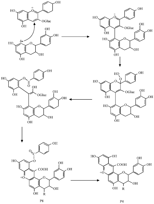 Image for - Stability of Pelargonidin 3-glucoside in Model Solutions in the Presence and Absence of Flavanols