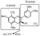 Image for - Synthesis and Antioxidant Activity of Modified (+)-Catechin Derivatives. Structure-Activity Relationship