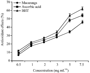 Image for - Antioxidant Power of Macaranga barteri Leaf