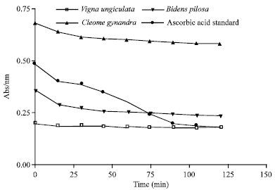 Image for - Screening of Antioxidant and Radical Scavenging Activity of Vigna ungiculata, Bidens pilosa and Cleome gynandra