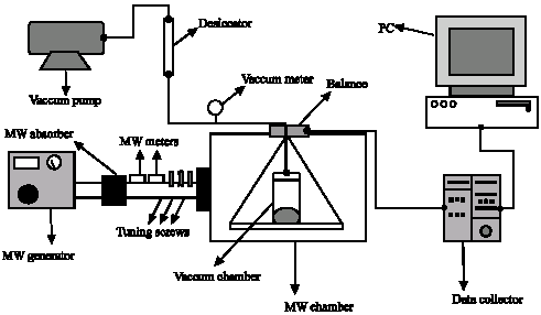 Image for - Microwave/Vacuum Drying of Cranberries (Vacccinium macrocarpon)