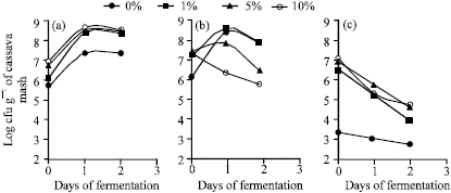 Image for - Improvement of Protein Content of Garri by Inoculation of Cassava Mash with Biomass from Palm Wine