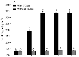 Image for - In vivo Evaluation of Cross-Linked Milk and Wheat Proteins Mediated by Microbial Transglutaminase in White Wistar Rats