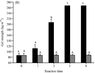 Image for - In vivo Evaluation of Cross-Linked Milk and Wheat Proteins Mediated by Microbial Transglutaminase in White Wistar Rats