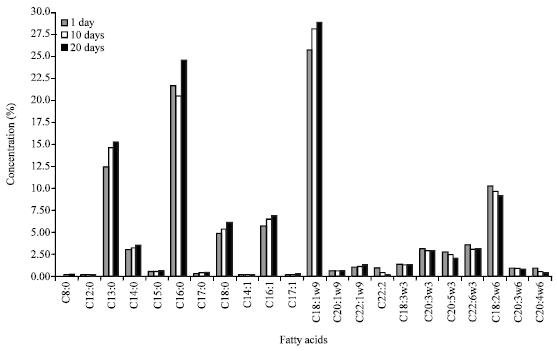 Image for - Fatty Acids Profile of Tropical Bagridae Catfish (Mystus nemurus) During Storage
