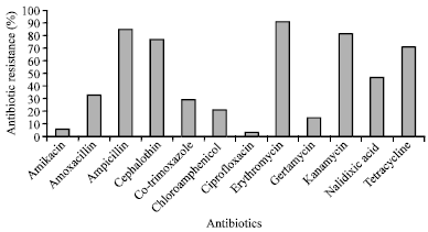Image for - Multiple-Antibiotic Resistance and Plasmid Profiles of Salmonella enteritidis Isolated from Retail Chicken Meats