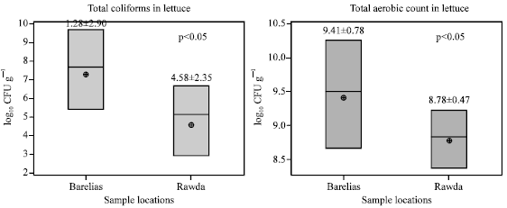 Image for - Microbiological Quality of Raw Vegetables Grown in Bekaa Valley, Lebanon