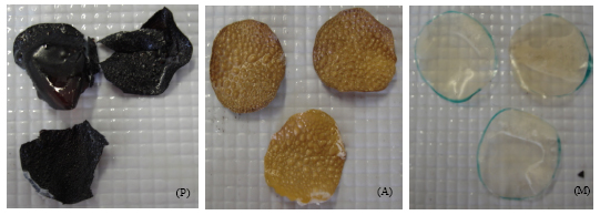 Image for - Biodegradable Edible Films from Renewable Sources-potential for their Application in Fried Foods