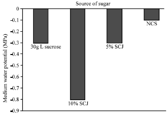 Image for - Sugarcane Juice as an Alternative Carbon Source for in vitro Culture of Plantains and Bananas