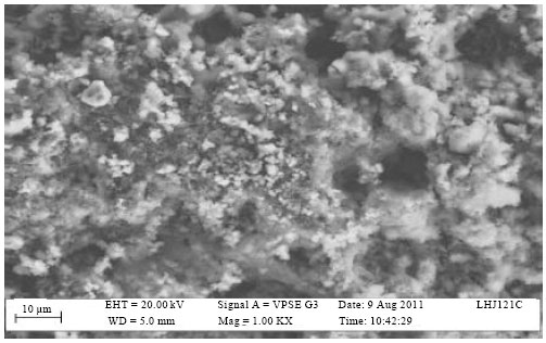 Image for - Biofilm Formation in Human and Tropical Foodborne Isolates of Listeria Strains
