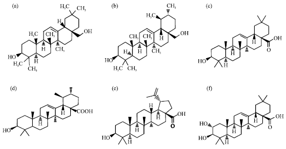 Image for - Six Pentacyclic Triterpenes in Mature Olive Fruits “Picual”