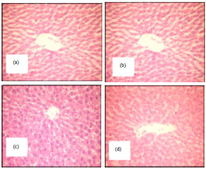 Image for - Rheological Studies and Effect of Feeding Guar (Cyamopsis tetragonoloba L.) Seeds on Histology of Some Organs of the Albino Rats