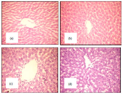Image for - Rheological Studies and Effect of Feeding Guar (Cyamopsis tetragonoloba L.) Seeds on Histology of Some Organs of the Albino Rats