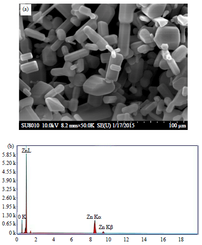 Image for - Migration and Characterization of Nano-zinc Oxide from Polypropylene Food Containers