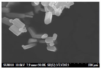 Image for - Migration and Characterization of Nano-zinc Oxide from Polypropylene Food Containers