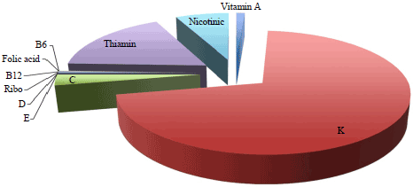 Image for - Bacterial Strains as Vitamins Supplements to Prepare Functional Dairy Beverages