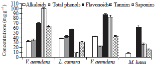 Image for - Antimicrobial Activity and Phytochemicals Analysis of Vernonia aemulans, Vernonia amygdalina, Lantana camara and Markhamia lutea Leaves as Natural Beer Preservatives