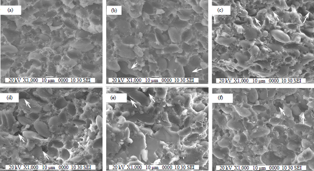 Image for - Influence of the Incorporation of Potato Granule on Quick-Frozen Dumpling Wrappers