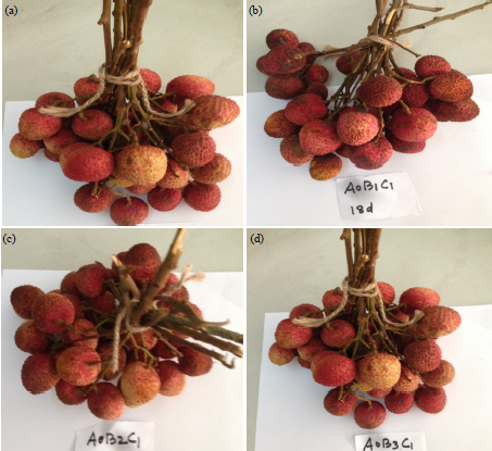 Image for - Color Retention and Extension of Shelf Life of Litchi Fruit in Response to Storage and Packaging Technique