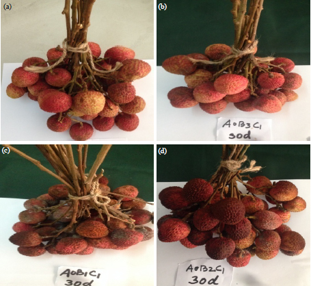 Image for - Color Retention and Extension of Shelf Life of Litchi Fruit in Response to Storage and Packaging Technique