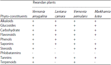 Image for - Antimicrobial Activity and Phytochemicals Analysis of Vernonia aemulans, Vernonia amygdalina, Lantana camara and Markhamia lutea Leaves as Natural Beer Preservatives