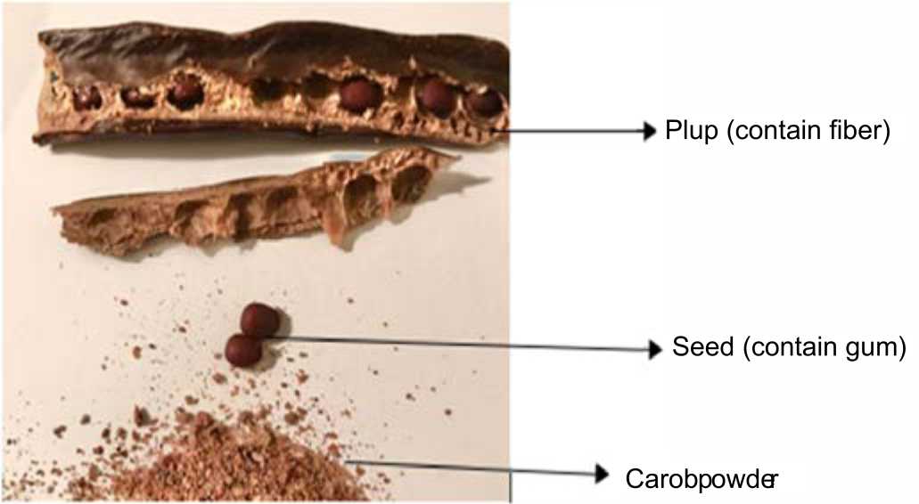 Image for - Probiotic Fermentation of Konjac and Carob Pods Ceratonia siliqua and Observation of Related Antioxidant Activity