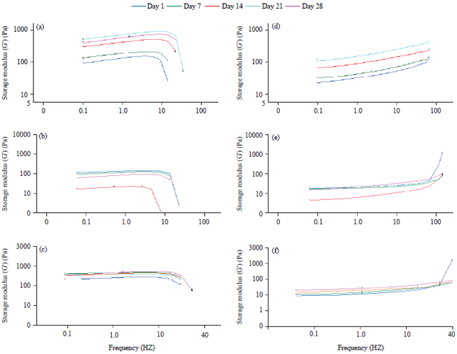 Image for - Effect of Cold Storage on the Rheological Characteristics of Dry Beans Yogurt