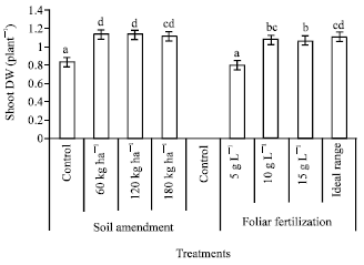 Image for - Response of Wheat Plants to Magnesium Sulphate Fertilization