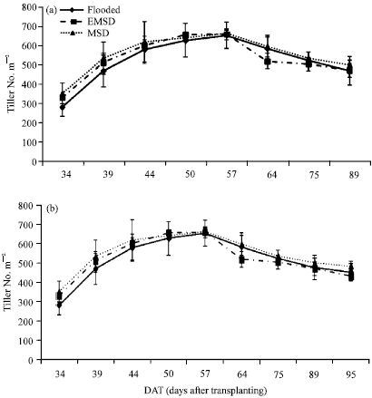 Image for - Effect of Mid-season Drainage (MSD) on Growth and Yield of Rice in North  East Japan