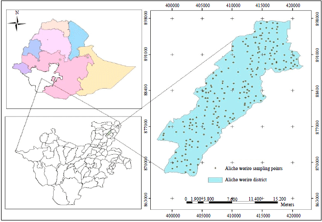 Image for - Assessment and Mapping of Some Soil Micronutrients Status in Agricultural Land of Alicho-Woriro Woreda, Siltie Zone, Southern Ethiopia